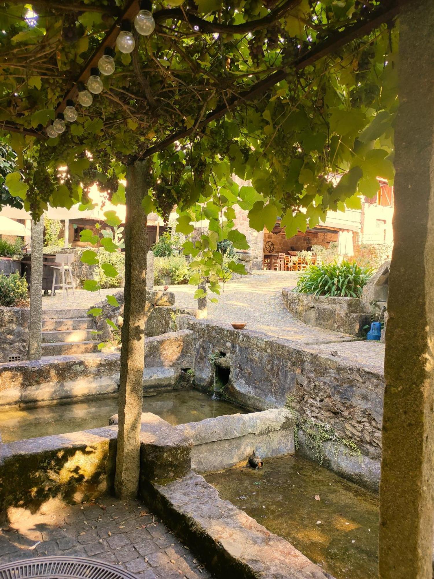 Quinta Padre Lobo Konuk evi Santa Maria da Feira Dış mekan fotoğraf